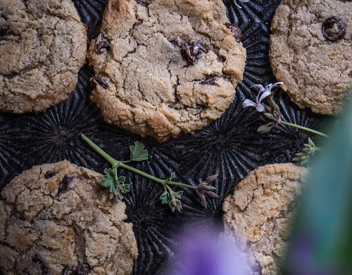 Gluten & Grain Free Chocolate Chip Cookies