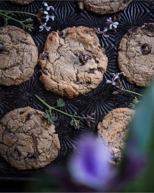 Gluten & Grain Free Chocolate Chip Cookies